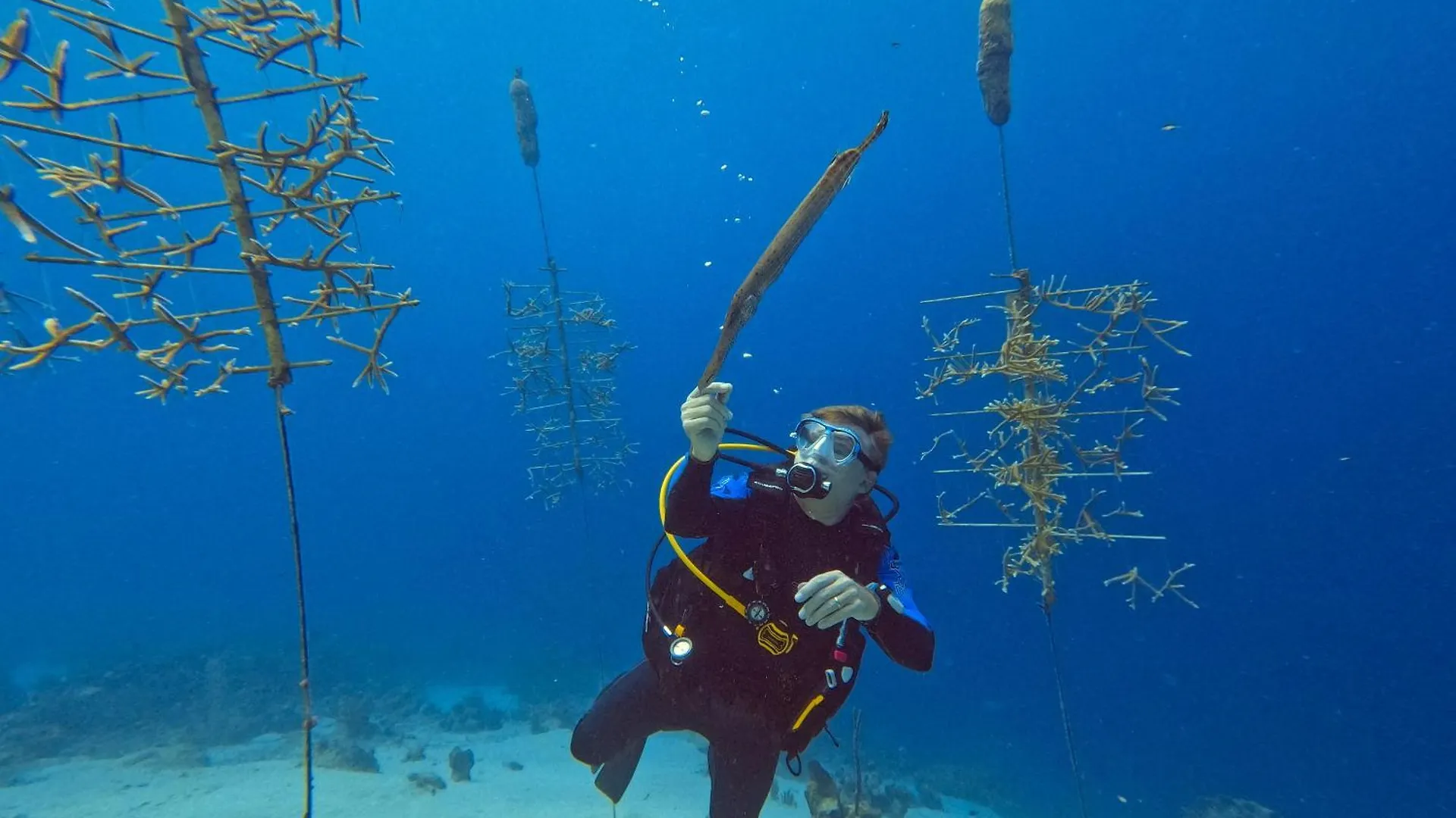 Westpunt Finisterre Curacao 빌라
